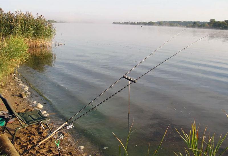 при каком давлении клюет рыба фото 5