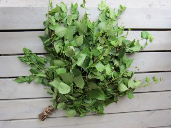 Обязательным элементом в рационе являются сухие щетки из листьев деревьев