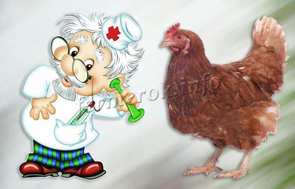 Больного нужно изолировать, вызвать ветеринара и определить заболевание и лечение