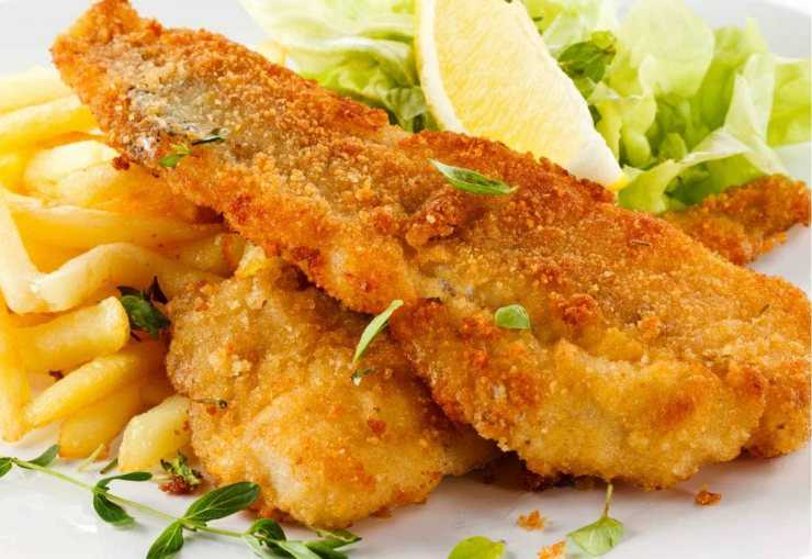 Рыба макрурус: польза и вред, калорийность, описание вида