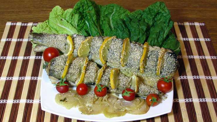 Рыба макрурус: польза и вред, калорийность, описание вида