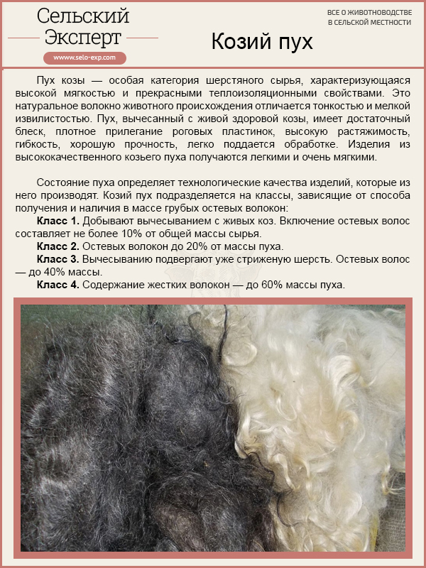 Спускаться