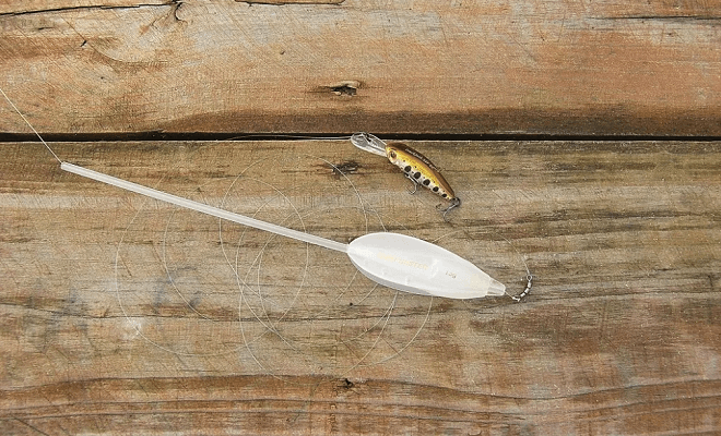 Ловля жереха на поплавочную удочку