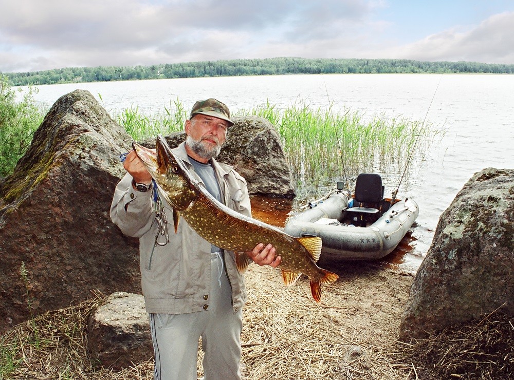 Советы бывалых по ловле щуки летом Советы бывалых по ловле щуки летом