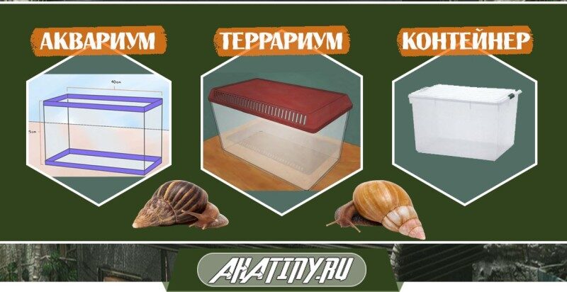 vyberite-ventiliruemuju-emkost-dlja-soderzhanija-ulitki-9335265