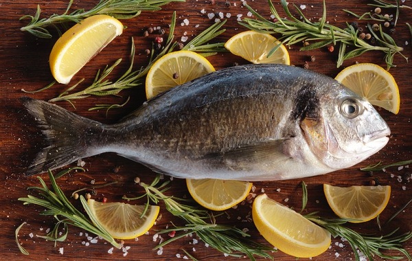 Дорадо-рыба-Описание-особенности-виды-образ-жизни-и-среда-обитания-дорадо-10