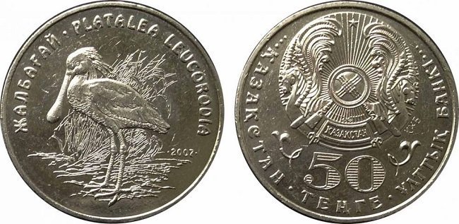 Обыкновенная колпица описание птицы, особенности, виды, среда обитания