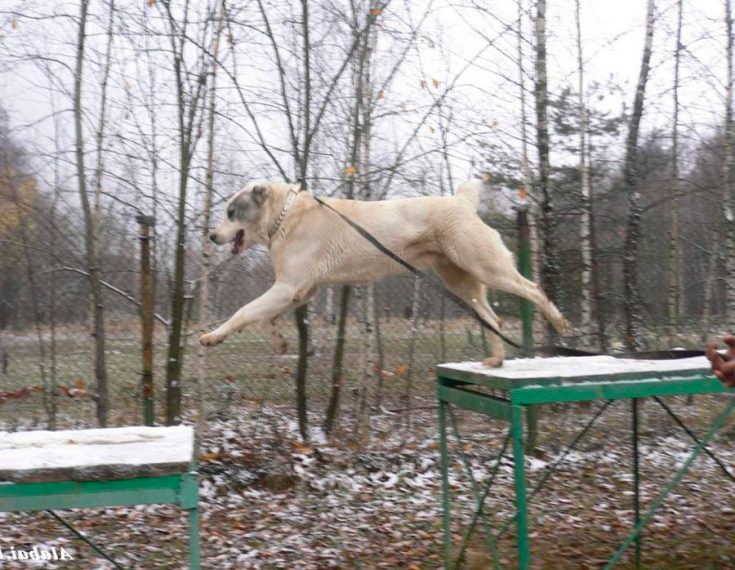 Процесс воспитания и обучения