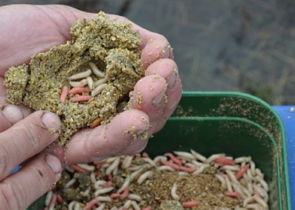 Ловля линя летом - прикорм Ловля линя летом - прикорм