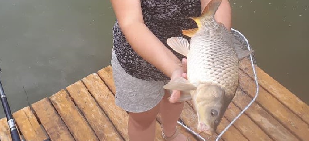 ловля карася летом – особенности рыбалки ловля карася летом – особенности рыбалки