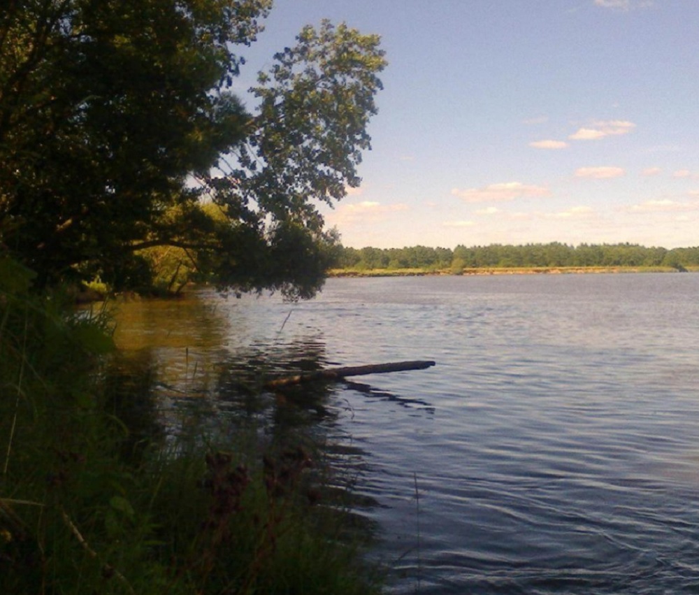 Ловля язя летом - где искать рыбу Ловля язя летом - где искать рыбу
