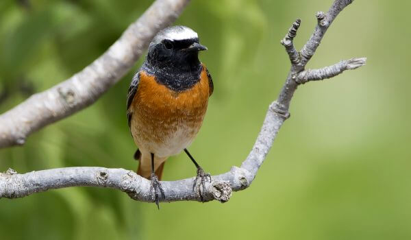 Фото: Рёдстарт