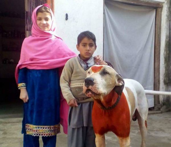 Гуль донг рядом с детьми