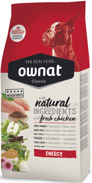 Собственная классическая энергия