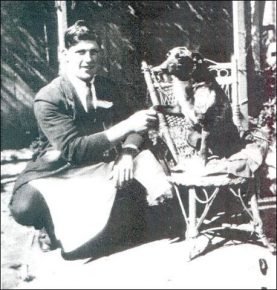 Блюи - австралийская овчарка