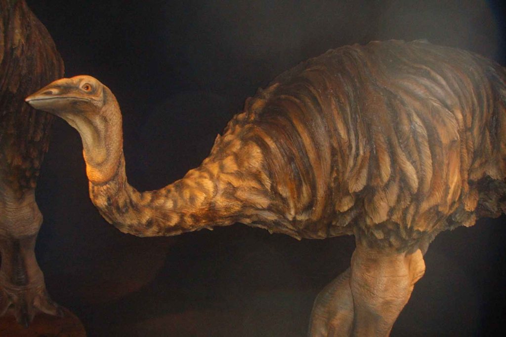 Слоновая птица