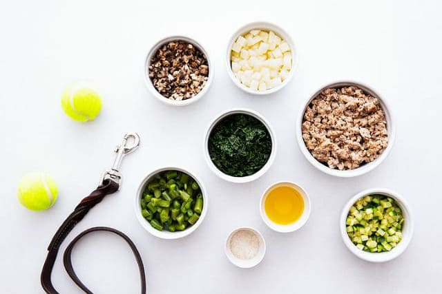 Продолжительность жизни джек-рассел-терьера – натуральное кормление