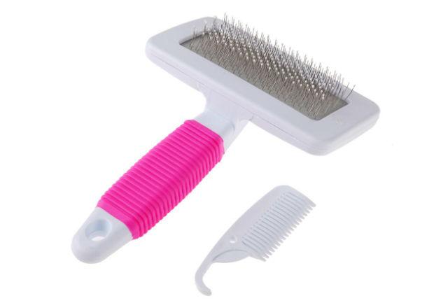 Пекинес - гребенчатая шерсть