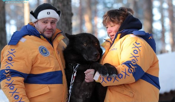 Русский вольфхунд с хозяевами