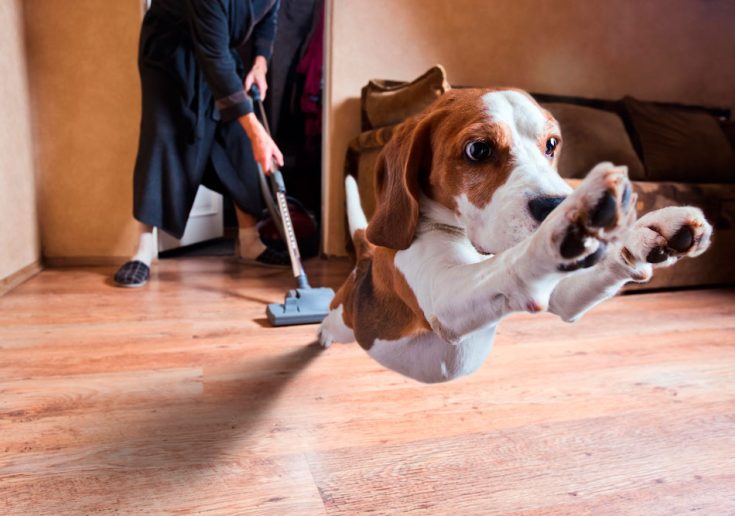 Уход и гигиена