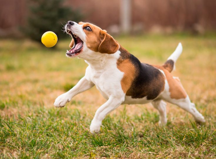 Обучение и образование