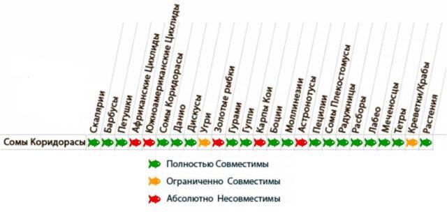 Таблица совместимости коридорасов