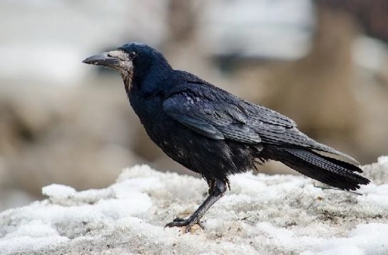 изображение башни изображение башни