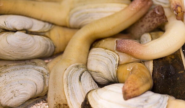 Фото: Гуидаки