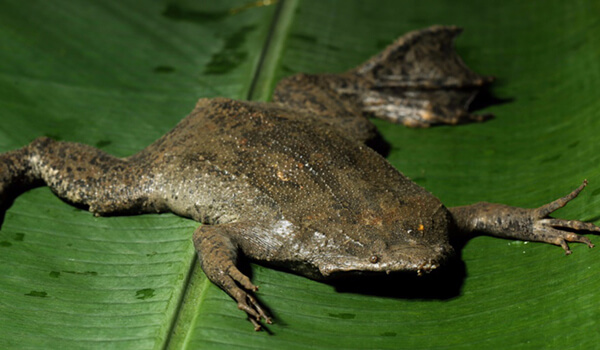 Фото: Как выглядит труба