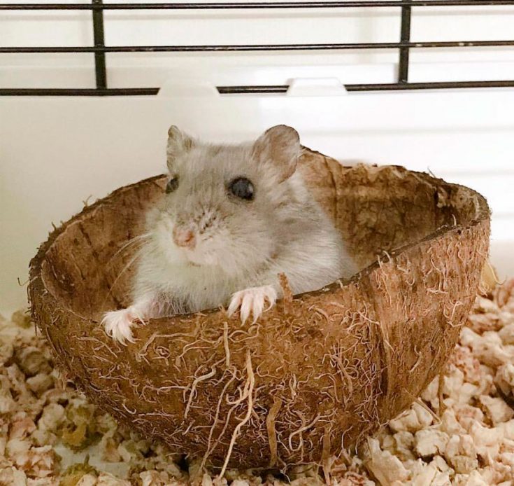 Уход и гигиена