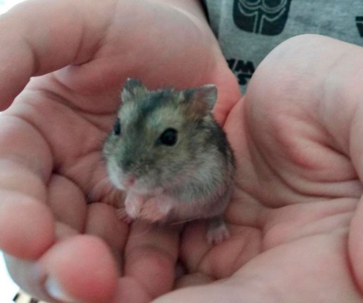 Здоровье, болезни и профилактика