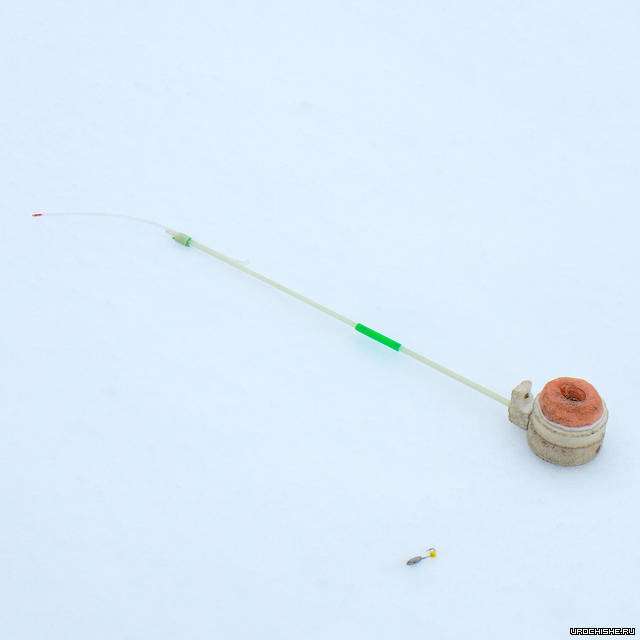 безмотылка - снасть на карася