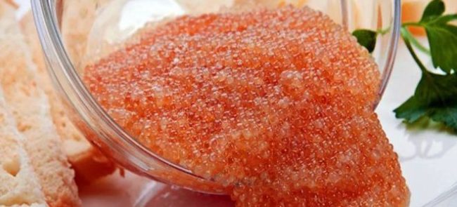 Что за рыба - таймень