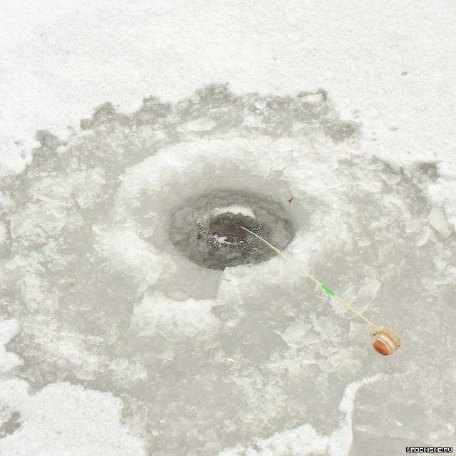 безмотылка