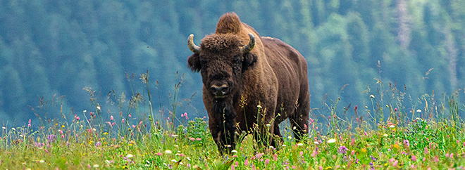 Стиль жизни