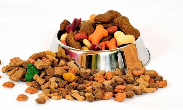 Сколько лет живут доги — правильное кормление собаки