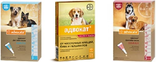 Капли на холку Адвокат для собак от демодекозного клеща