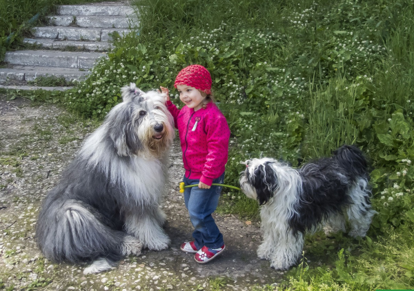 Бобтейл и девочка
