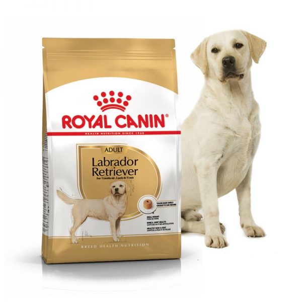 Royal Canin Labrador Retriever Adult