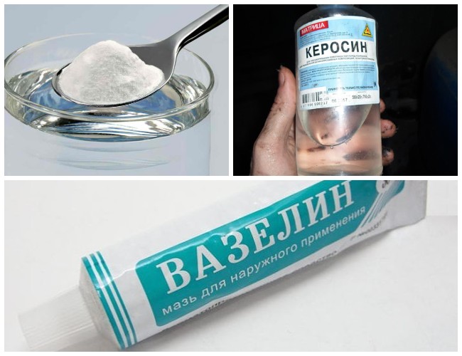 Как избавиться от жука-точильщика: как определить вредителя, какие виды существуют, как бороться с ним при помощи инсектицидов и народных средств, профилактика появления