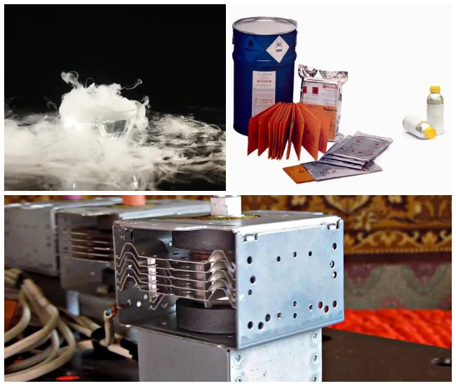 Как избавиться от жука-точильщика: как определить вредителя, какие виды существуют, как бороться с ним при помощи инсектицидов и народных средств, профилактика появления