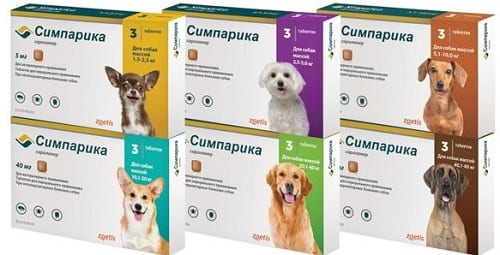 Таблетки Симпарика для лечения генерализованного демодекоза у щенков и собак