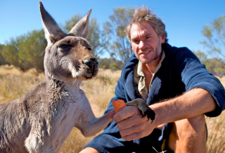 Кенгуру и человек