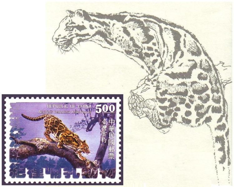 Дымчатый леопард: описание