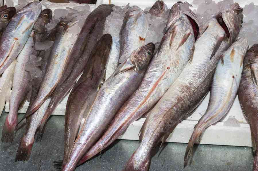 свежая рыба