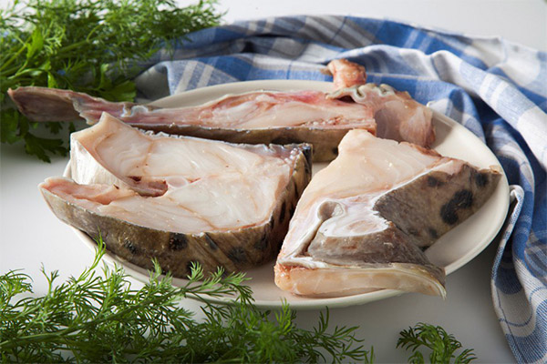 Полезен ли сом при диабете