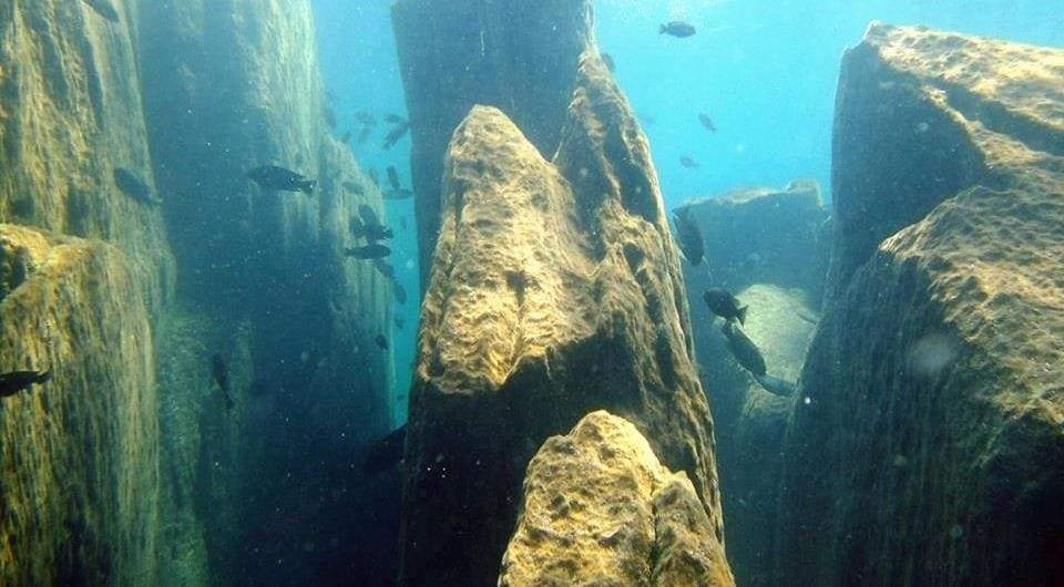 Чиндонго Демасони (Chindongo demasoni) места обитания, биотоп.