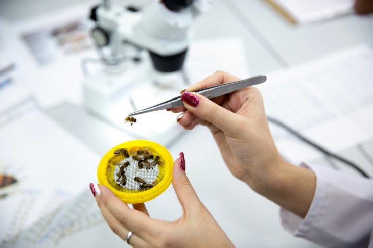 болезни и профилактика