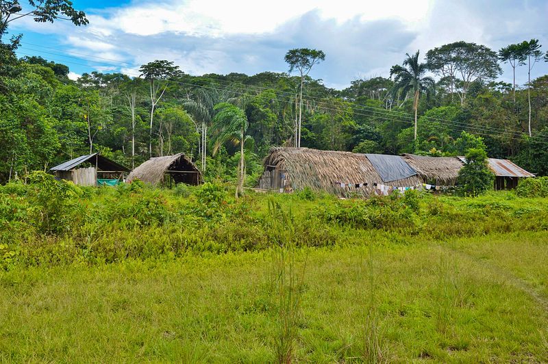 Дома в селе Бамено парк Ясуни