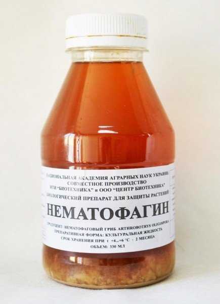 Галловая нематода: причины возникновения, методы борьбы